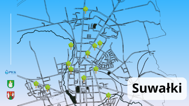 zielone suwałki